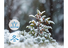  Сезон Лидун, или Начало зимы 